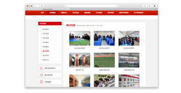 威海網(wǎng)絡(luò)公司力豐網(wǎng)絡(luò) 專業(yè)網(wǎng)站建設(shè)與互聯(lián)網(wǎng)信息服務(wù)助力威海市水產(chǎn)學(xué)校實(shí)現(xiàn)數(shù)字化發(fā)展